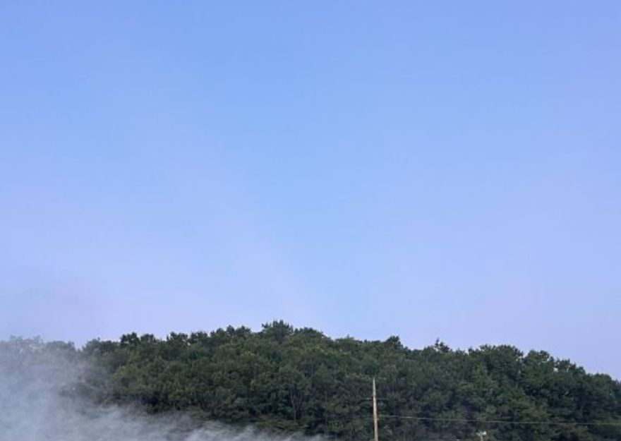 집중호우 이후 병해충 확산 우려… 공동방제로 선제 대응 나서
