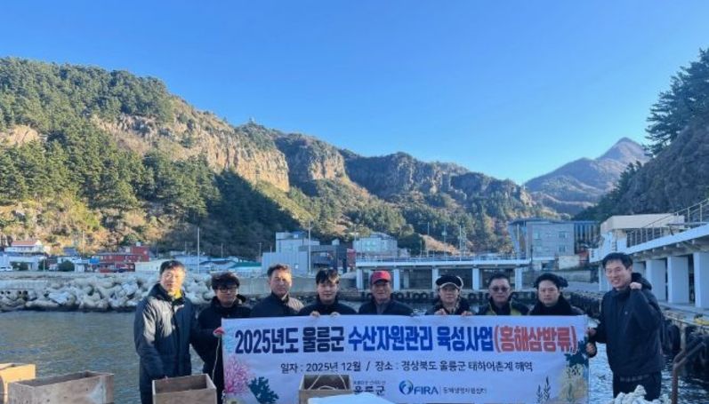 울릉군, 홍해삼 방류 ‧서식지 조성으로 수산자원 회복 박차