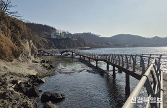 봄 바다 더 가까이 … 포항 호미반도 해안둘레길 새단장