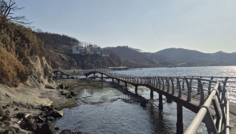 봄 바다 더 가까이 … 포항 호미반도 해안둘레길 새단장