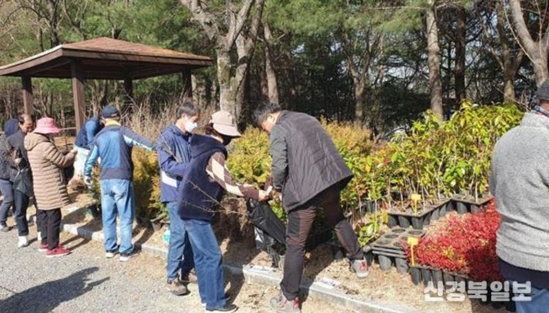 대구시, 시민에 2,250그루 무료 배부…‘나무 나눠주기 행사’ 개최