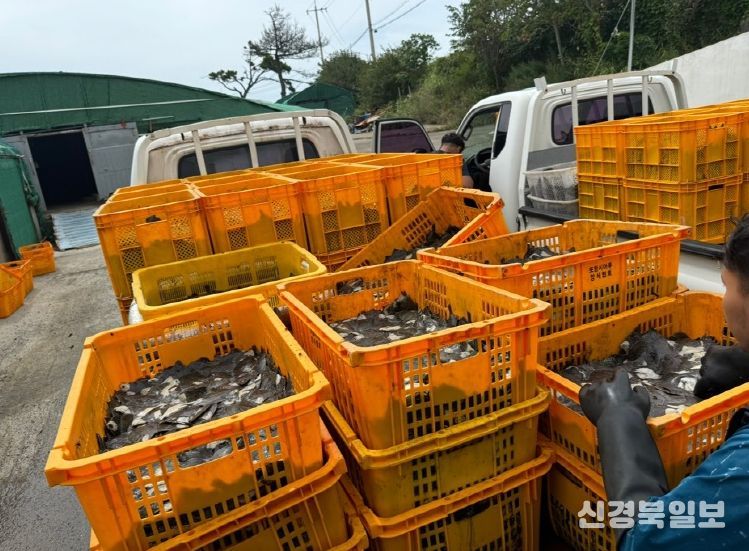 양식장 대상 방제장비·물품·보험료 전방위적 지원