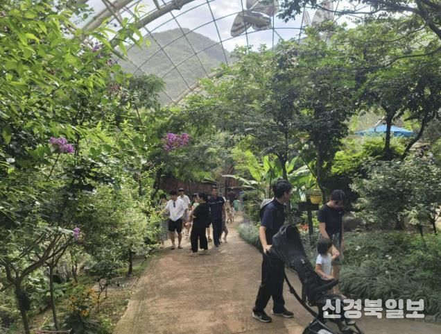 2025 예천곤충페스티벌, 한여름의 축제 성황리에 마쳐