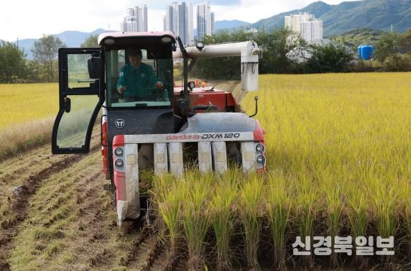 직접 콤바인 몰며 농민들과 현장 점검 하는 박영기 의장