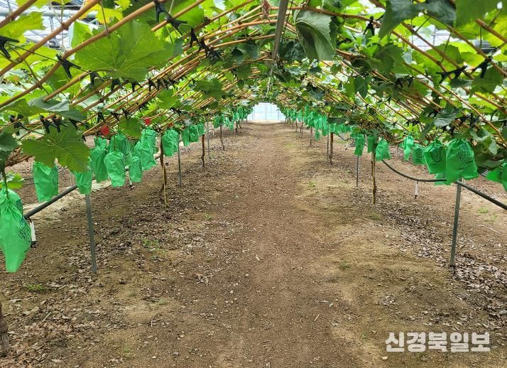 안동시