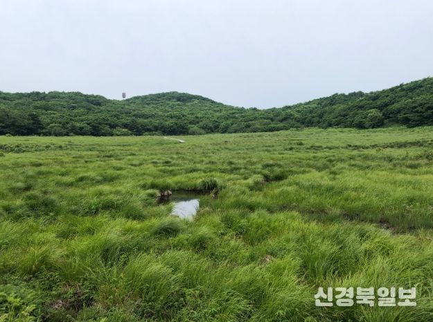 (북부지방산림청) 강원 인제 대암산 용늪 산림유전자원보호구역