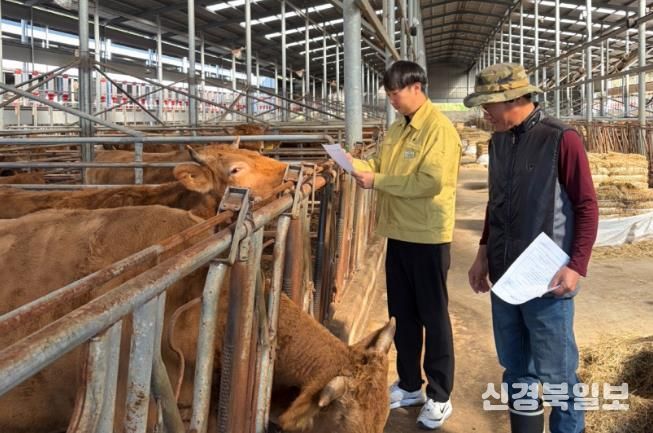 순창군, 동절기 대비 축산분야 재해 예방 현장점검 강화