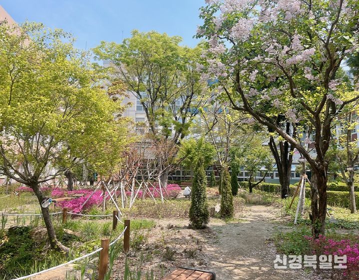 경북여고 학교숲