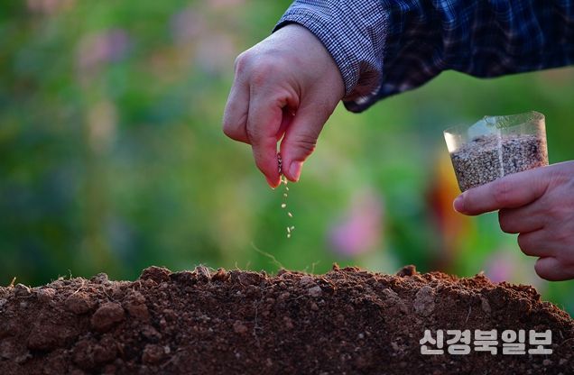제1회 국립종자원 종자사진 공모전 수상작(대상(농식품부장관상) 수상자 : 강미자 작품명 : 참깨씨 뿌리기)