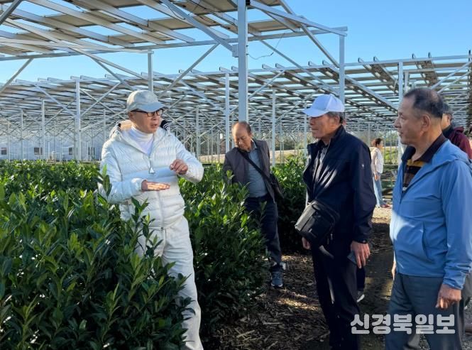 보성군, 일본 시즈오카 벤치마킹 통해 ‘K-TEA 보성말차’ 글로벌 성장 시동_영농형 태양광을 설치한 스마트 에너지 다원인 스츠카 솔라 차원을 방문했다