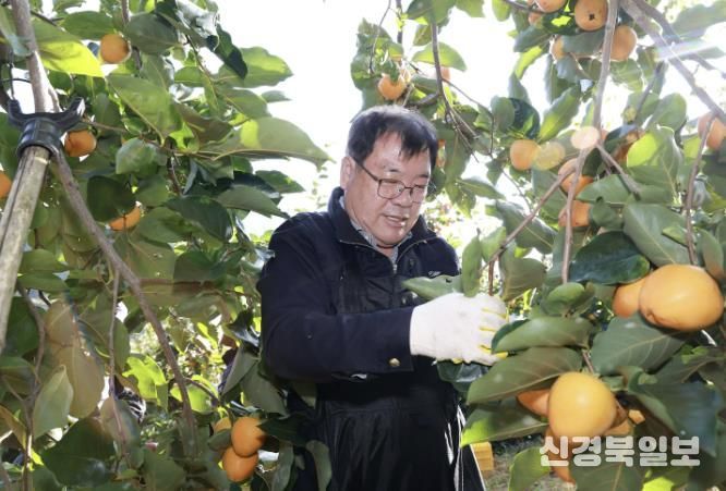 산청군, 농촌 일손 돕기 '구슬땀'