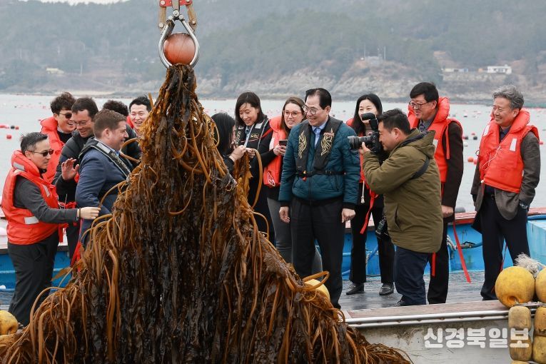 사진은 미 에너지부 산하기관 에너지 고등 계획원(ARPA-E) 관계자 완도군 해조류(미역) 양식장을 방문한 모습