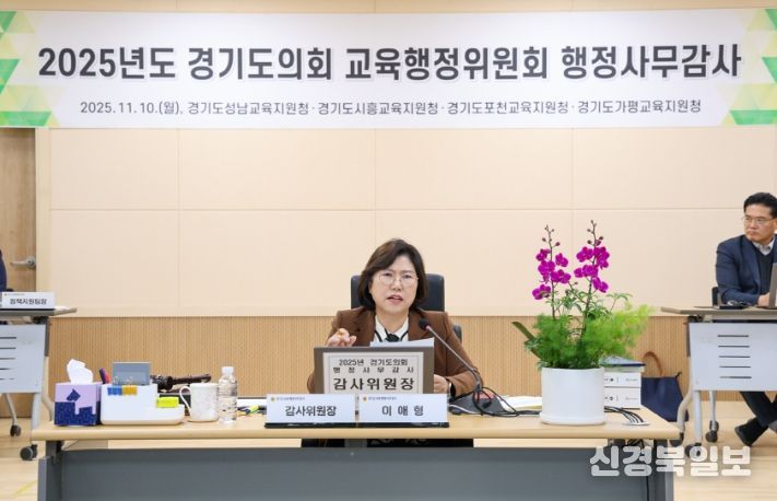 경기도의회 이애형 의원