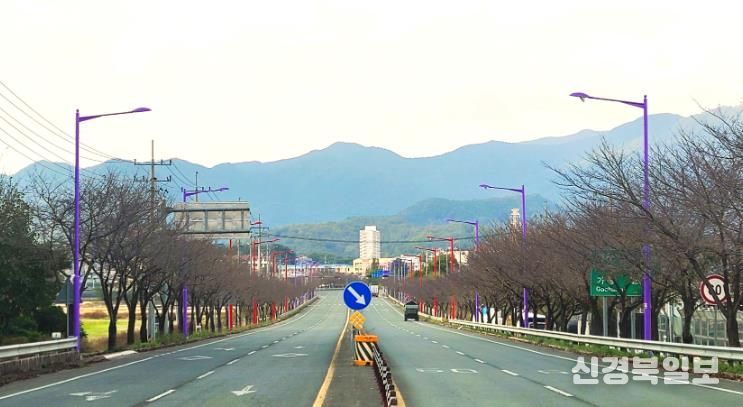 이서로(국지도 30호선) 가로등 설치사업 준공사진