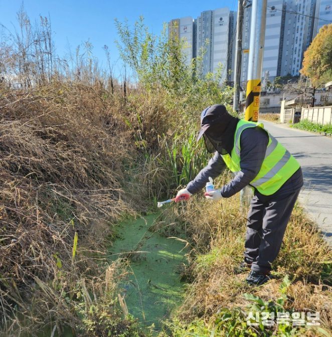 동절기 모기 유충구제 사업 집중 추진