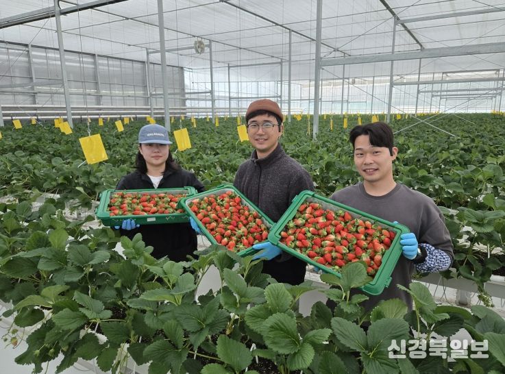 남상주농협, 금실 품종 첫 선적, K(케이)-딸기 글로벌 경쟁력 강화