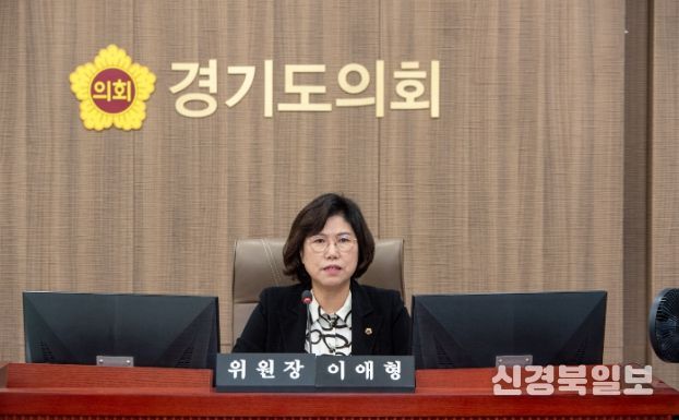 경기도의회 이애형 의원