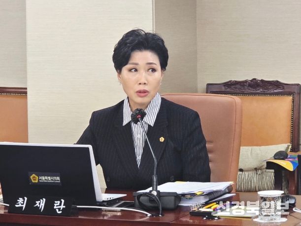 서울시의회 최재란 의원