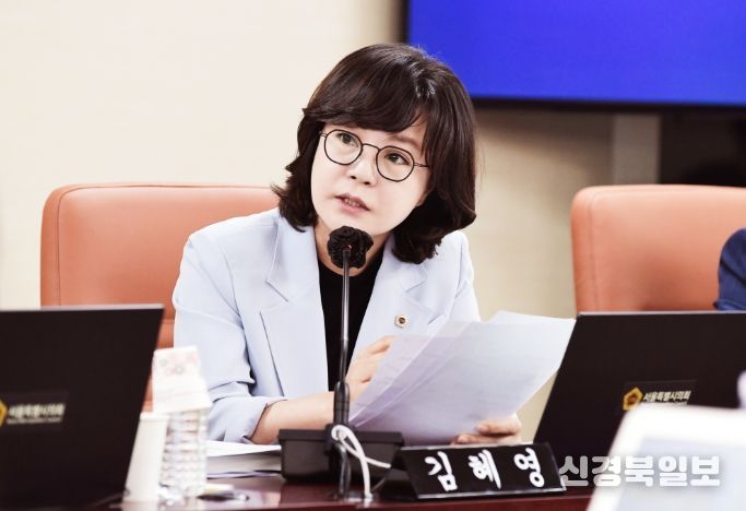서울시의회 김혜영 의원