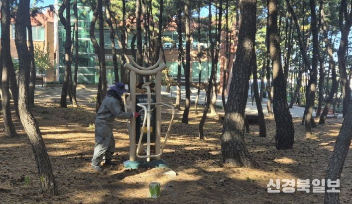 종려나무 월동 준비