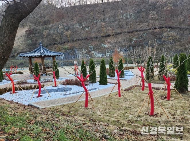 의성군, 겨울철 대비 가로수 수목 보호대 설치로 월동 준비 완료