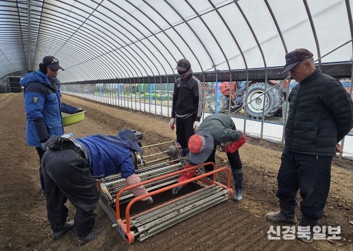 예천군, ‘내재해형 이중구조하우스’로 안정적 인삼 생산기반 구축