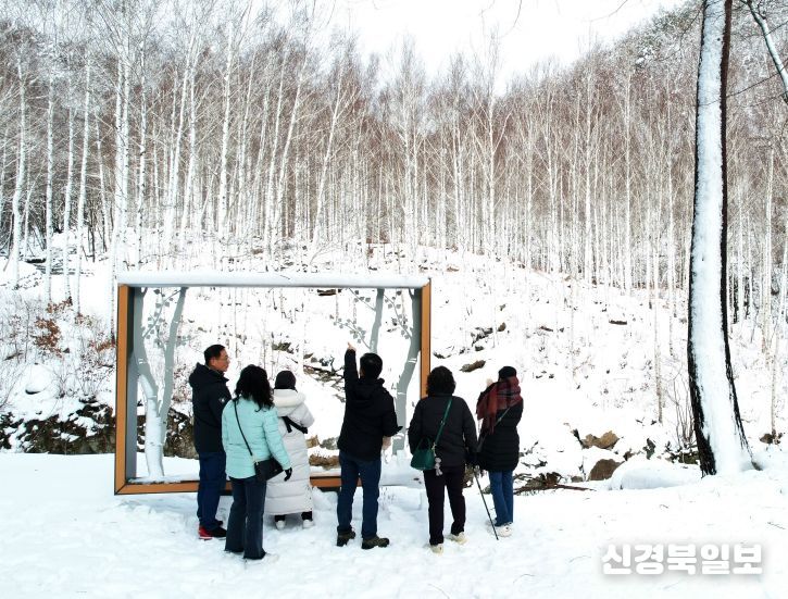 국립 영양자작누리 치유의숲