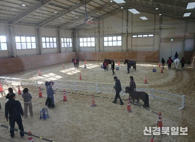 상주시,‘장애인(초중고) 겨울 재활 승마 캠프’시행