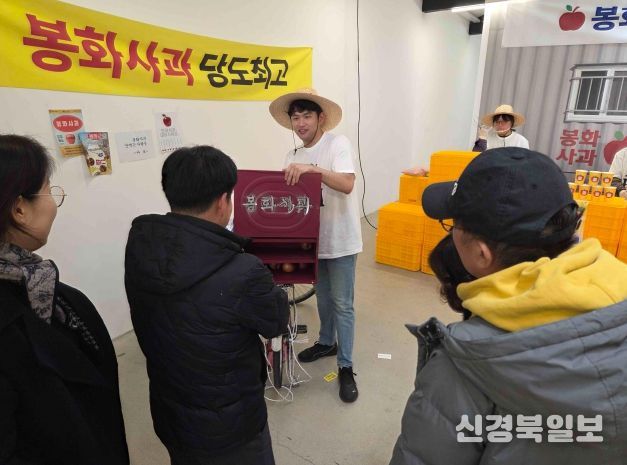 사과 개수 맞히기 게임