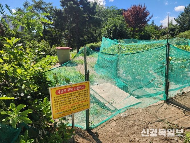 공유재산 정밀실태 조사 현장