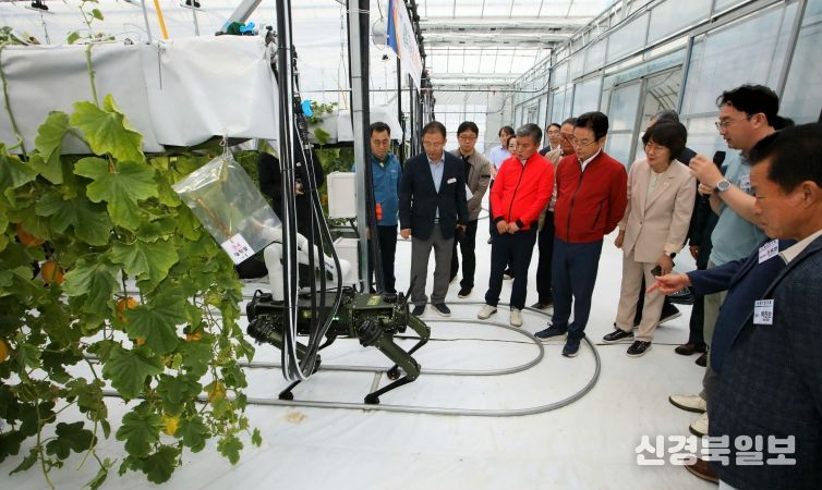 참외 산업 혁신 성과 주목!