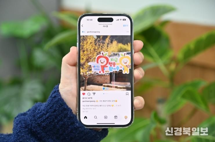 2026 청송군 SNS 홍보단 ‘온통청송’ 본격 활동 돌입