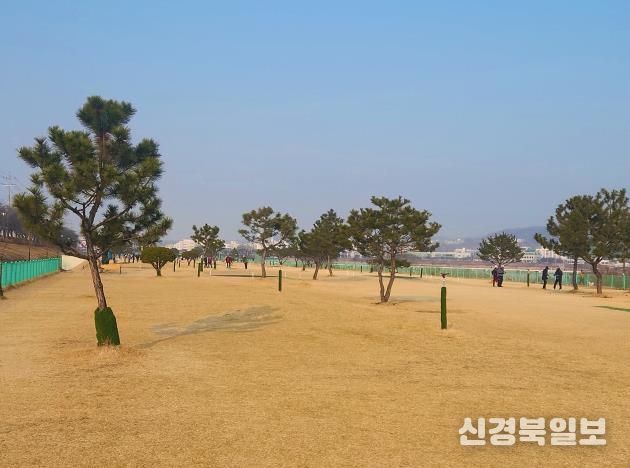 안동시, 2026년부터 파크골프장 시 직영 운영