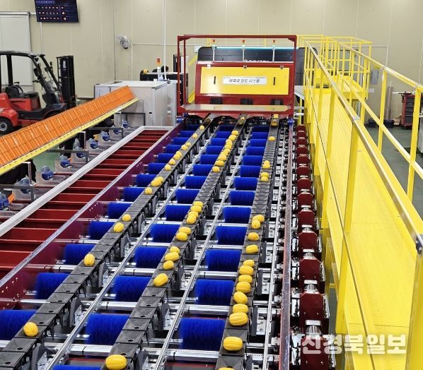 농산물 유통도 이제는 AI시대, 스마트화