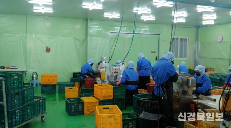 청도군「설명절 성수식품 합동점검」실시(청도읍소재 두부식품제조가공업소 사진).