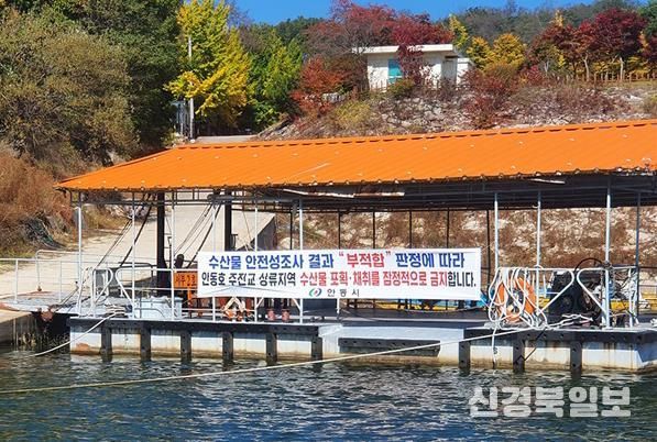 안동시, 안동호 내수면 어업 폐업보상 시행