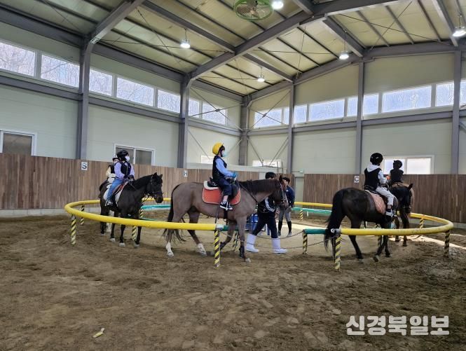 경기도 승마체험 지원