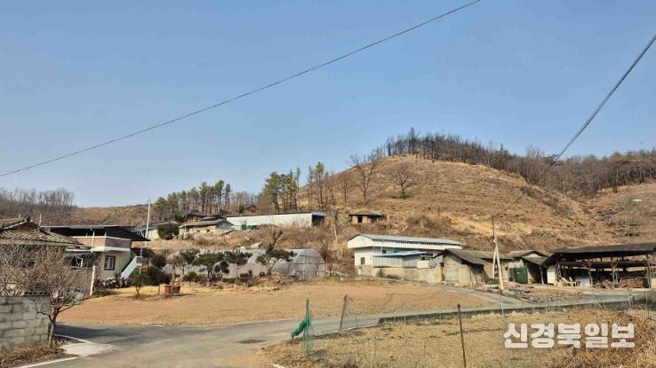 의성군, 산불피해지 위험목 제거사업 361ha 무사고 완료