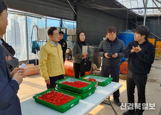 시 관계자들이 임고면 한편농원을 방문해 딸기 재배시설을 살펴보고 설명을 듣고 있다.