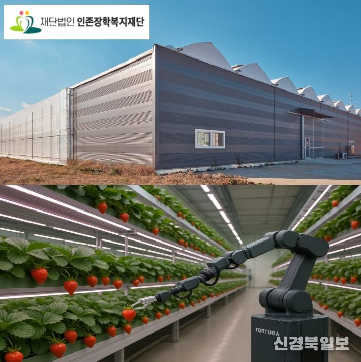 딸기 식물공장