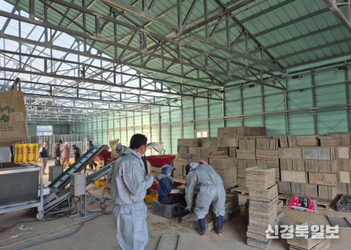 울진군, 기후변화 대응‘못자리 10일 늦추기’추진