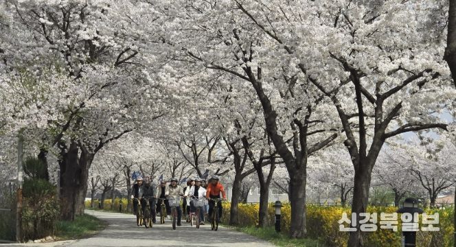 상주시청 공직자들, 자전거 출퇴근으로 에너지 절약 실천