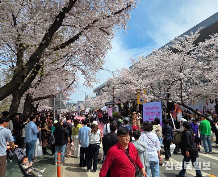 2026 안동 벚꽃축제, 체류형 관광 성과 확인