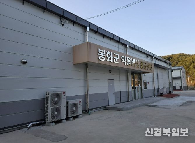 봉화군, 2026년 약용버섯 재배 실용교육 과정 교육생 모집