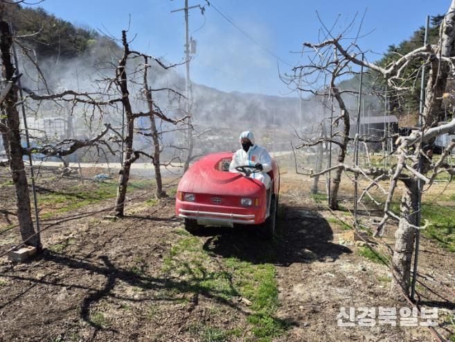 한 농민이 과수화상병 예방을 위해 개화기 방제 작업을 하고 있다