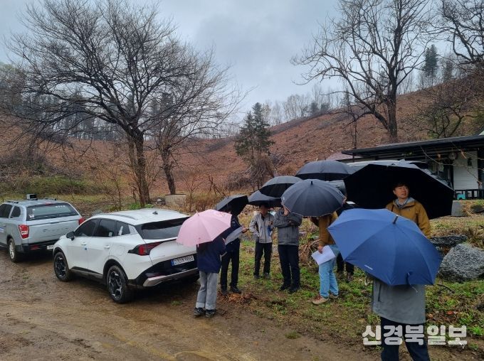 소나무재선충병 방제 품질향상을 위한 현장 컨설팅 실시
